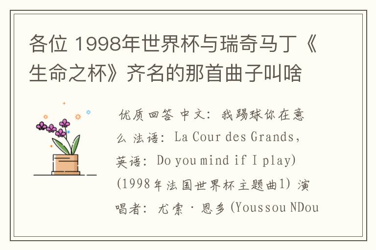 各位 1998年世界杯与瑞奇马丁《生命之杯》齐名的那首曲子叫啥