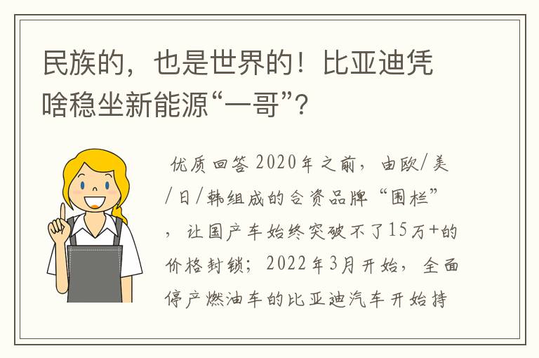 民族的,也是世界的!比亚迪凭啥稳坐新能源“一哥”?