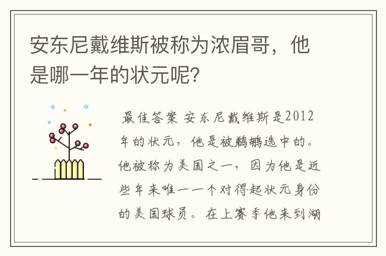 安东尼戴维斯被称为浓眉哥，他是哪一年的状元呢？