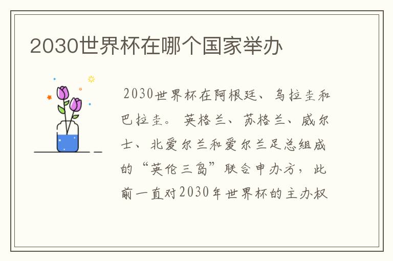 2030世界杯在哪个国家举办