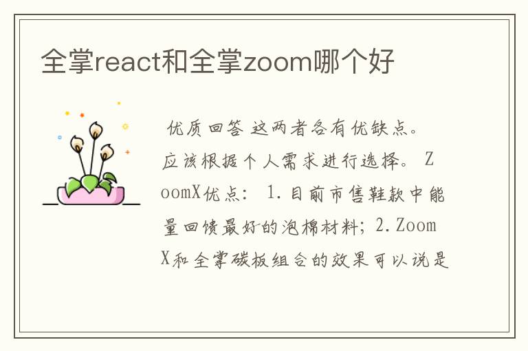 全掌react和全掌zoom哪个好