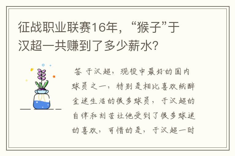 征战职业联赛16年，“猴子”于汉超一共赚到了多少薪水？