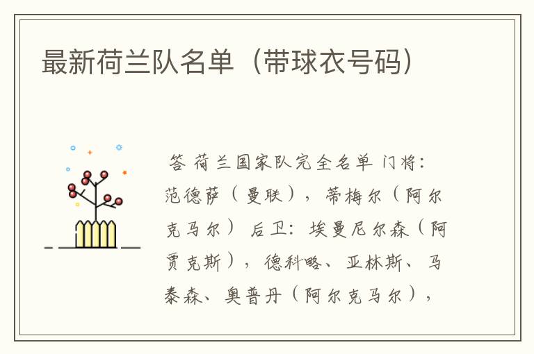 最新荷兰队名单(带球衣号码)