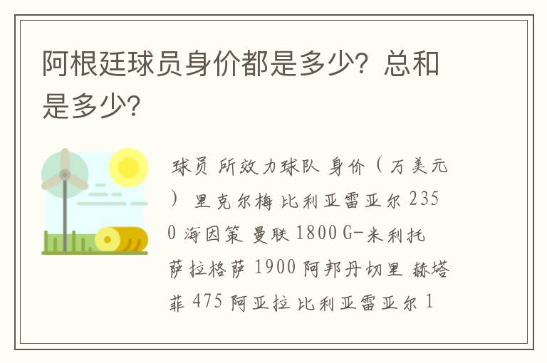 阿根廷球员身价都是多少？总和是多少？