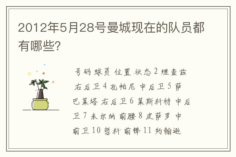 2012年5月28号曼城现在的队员都有哪些?