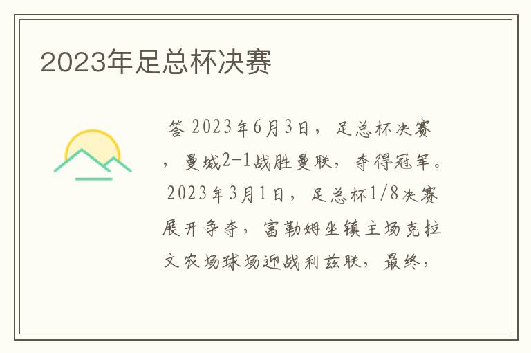 2023年足总杯决赛