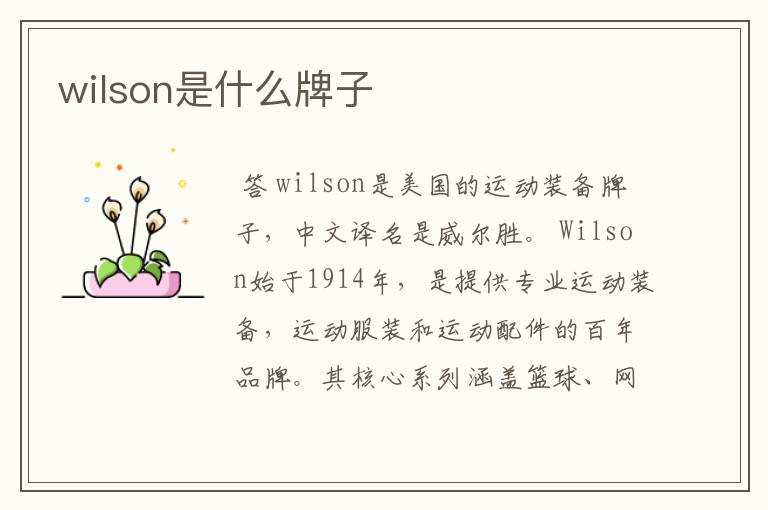 wilson是什么牌子