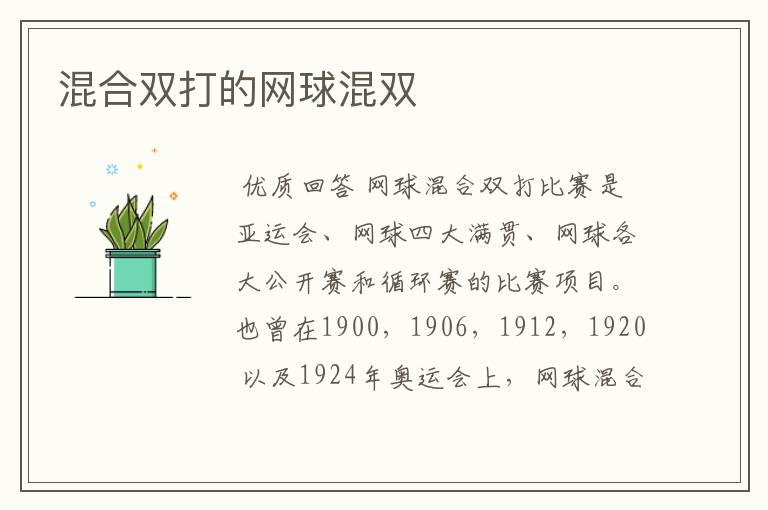 混合双打的网球混双