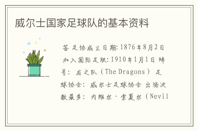 威尔士国家足球队的基本资料