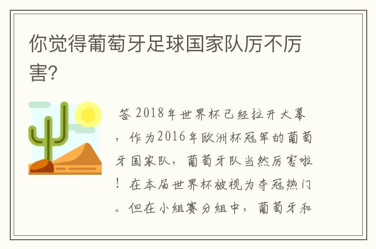 你觉得葡萄牙足球国家队厉不厉害？