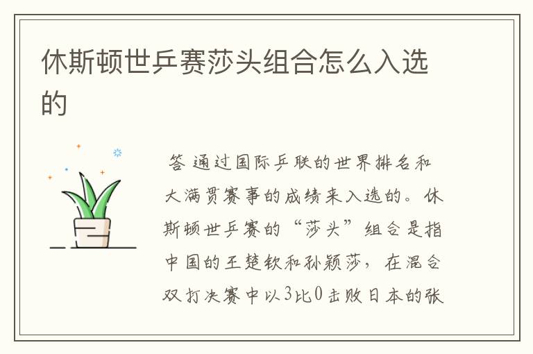 休斯顿世乒赛莎头组合怎么入选的