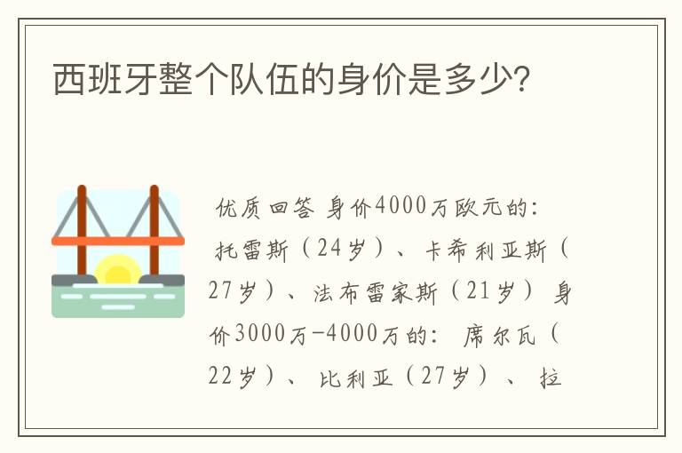 西班牙整个队伍的身价是多少？