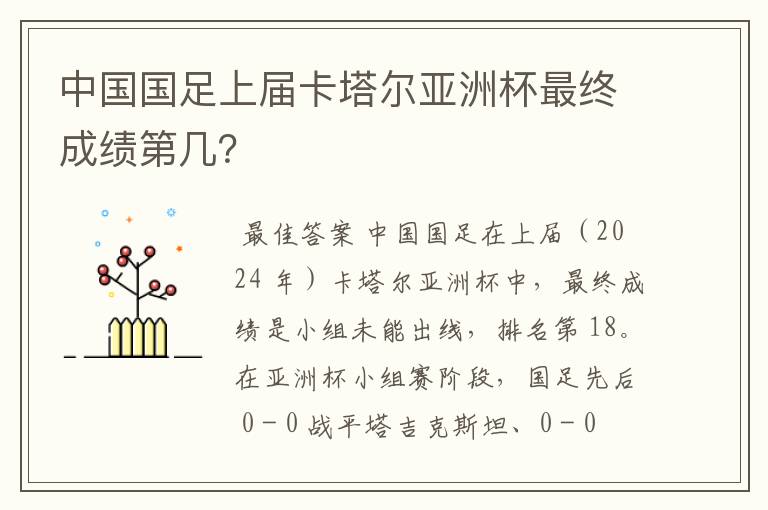 中国国足上届卡塔尔亚洲杯最终成绩第几？