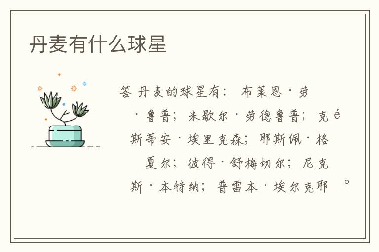 丹麦有什么球星