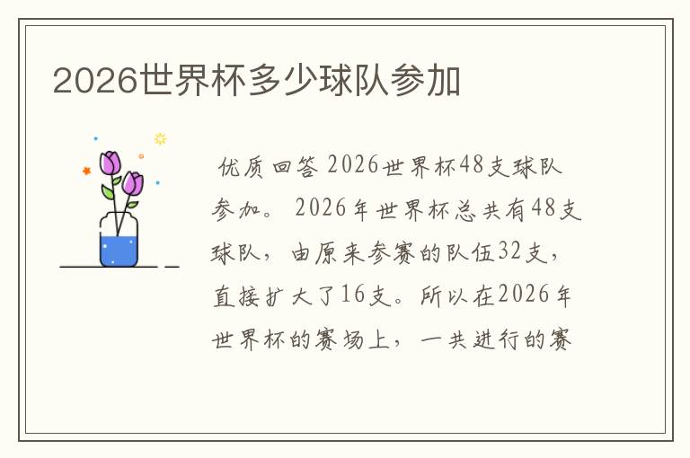 2026世界杯多少球队参加