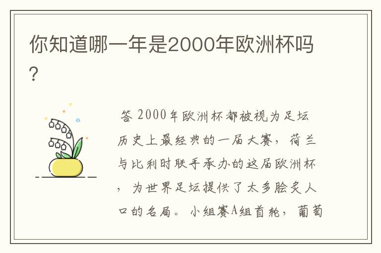 你知道哪一年是2000年欧洲杯吗？