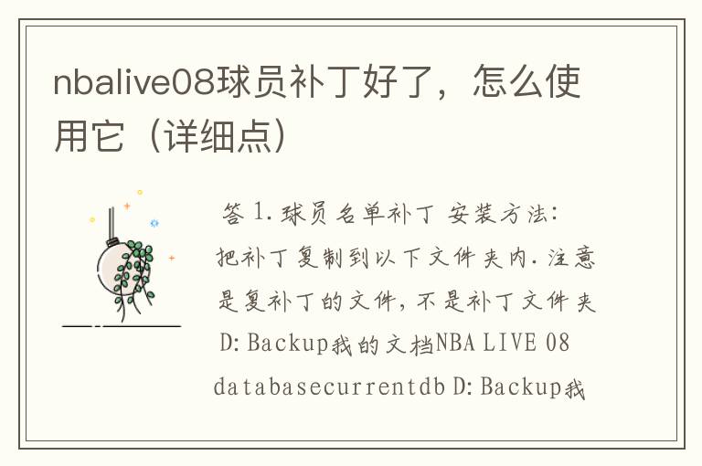 nbalive08球员补丁好了，怎么使用它（详细点）