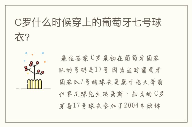 C罗什么时候穿上的葡萄牙七号球衣?