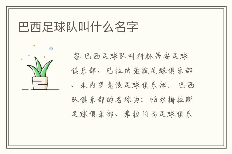 巴西足球队叫什么名字