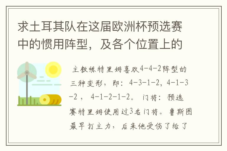 求土耳其队在这届欧洲杯预选赛中的惯用阵型，及各个位置上的主力人选？