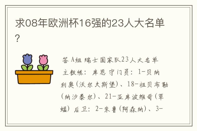 求08年欧洲杯16强的23人大名单？