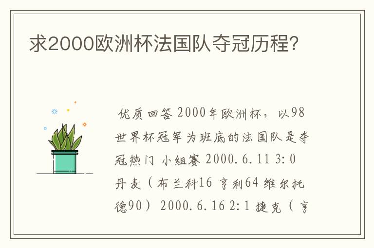 求2000欧洲杯法国队夺冠历程？