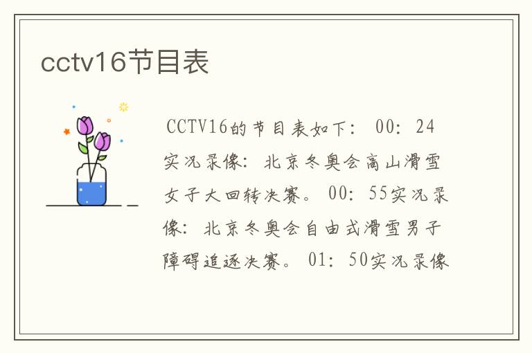 cctv16节目表