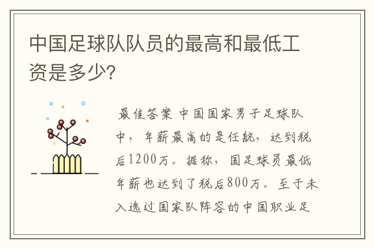 中国足球队队员的最高和最低工资是多少？