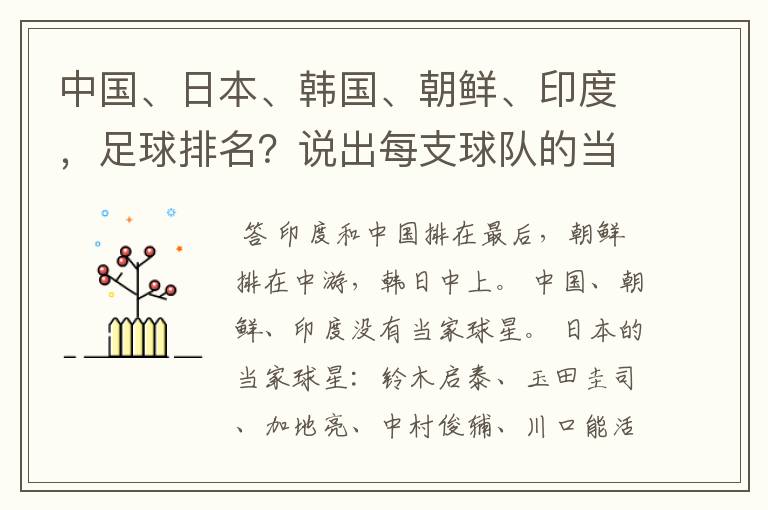 中国、日本、韩国、朝鲜、印度，足球排名？说出每支球队的当家球星。