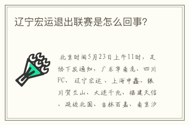 辽宁宏运退出联赛是怎么回事？