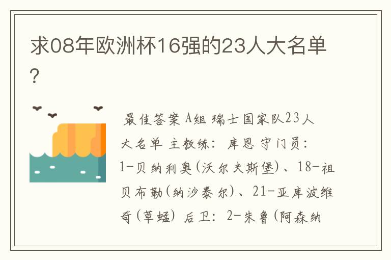 求08年欧洲杯16强的23人大名单？