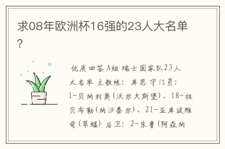 求08年欧洲杯16强的23人大名单？