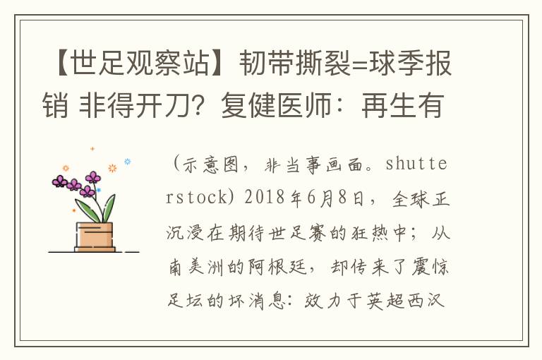 【世足观察站】韧带撕裂=球季报销 非得开刀？复健医师：再生有望