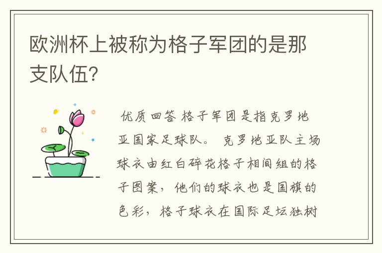 欧洲杯上被称为格子军团的是那支队伍？