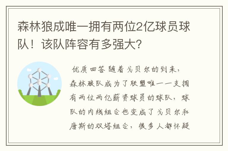 森林狼成唯一拥有两位2亿球员球队！该队阵容有多强大？