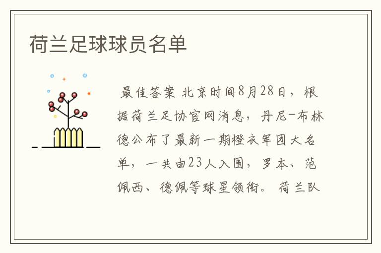 荷兰足球球员名单