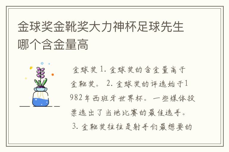 金球奖金靴奖大力神杯足球先生哪个含金量高