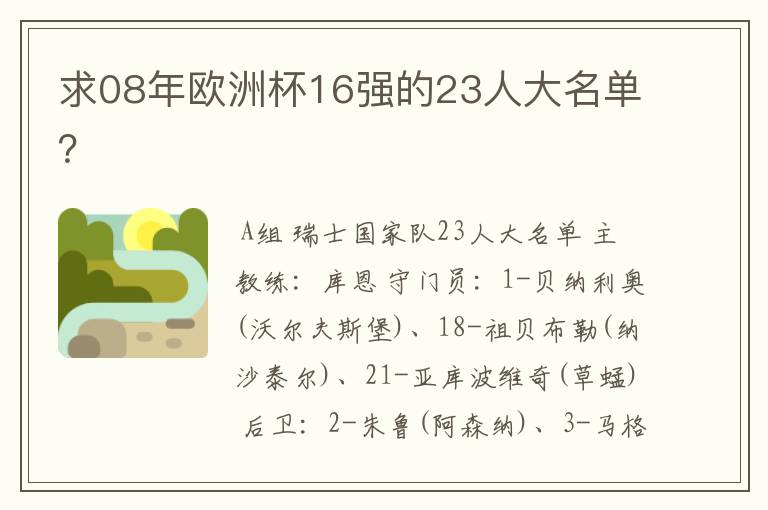 求08年欧洲杯16强的23人大名单？