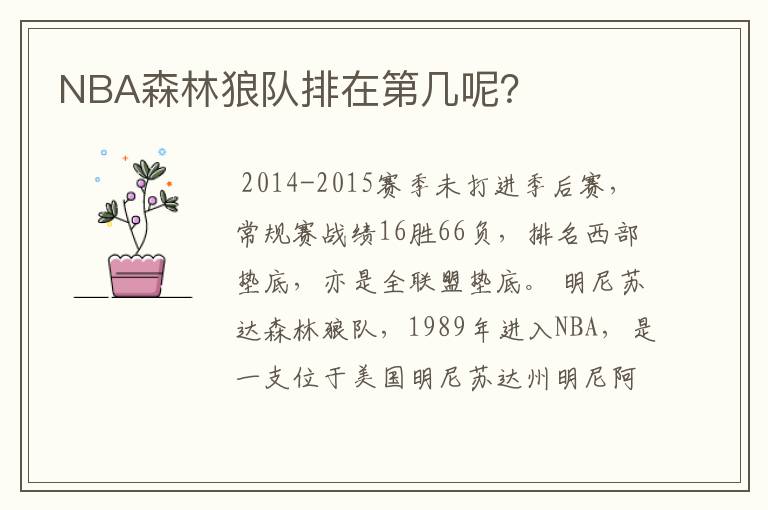 NBA森林狼队排在第几呢？