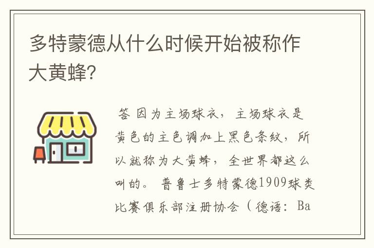 多特蒙德从什么时候开始被称作大黄蜂?