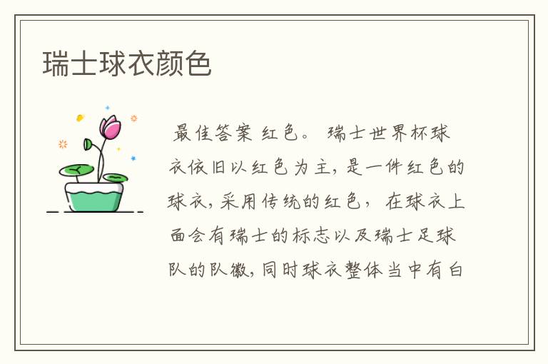 瑞士球衣颜色