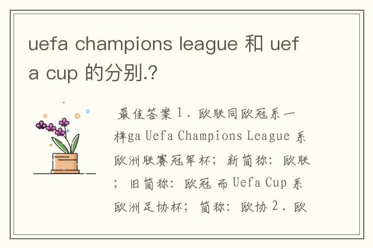 uefa champions league 和 uefa cup 的分别.？