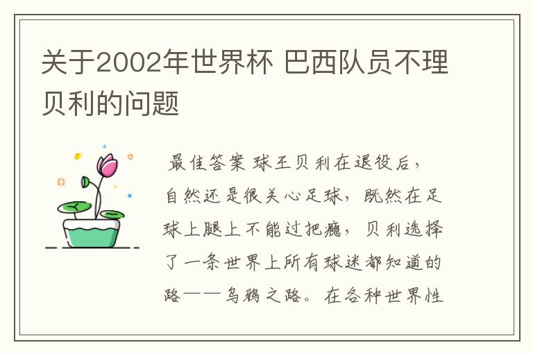 关于2002年世界杯 巴西队员不理贝利的问题