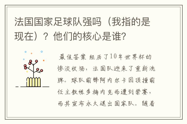 法国国家足球队强吗(我指的是现在)?他们的核心是谁?