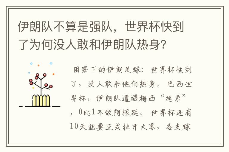 伊朗队不算是强队,世界杯快到了为何没人敢和伊朗队热身?