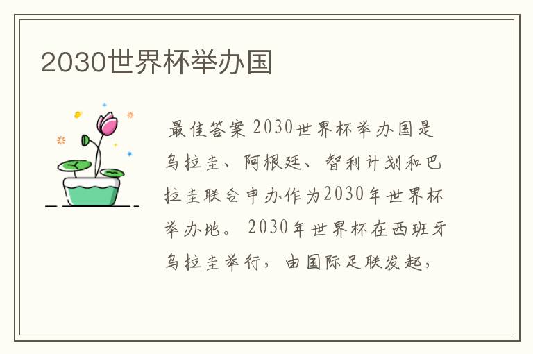 2030世界杯举办国