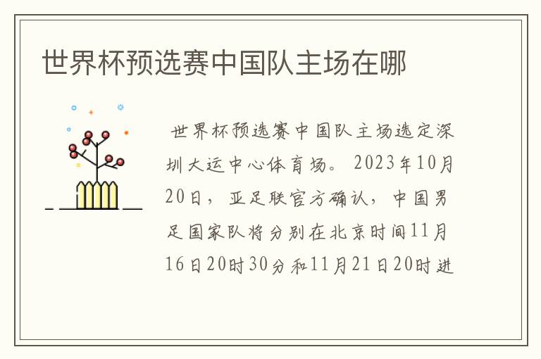 世界杯预选赛中国队主场在哪