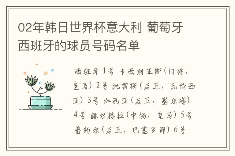 02年韩日世界杯意大利 葡萄牙 西班牙的球员号码名单