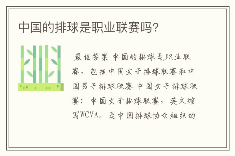 中国的排球是职业联赛吗?