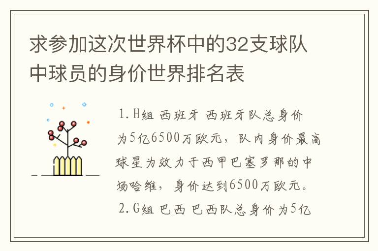 求参加这次世界杯中的32支球队中球员的身价世界排名表